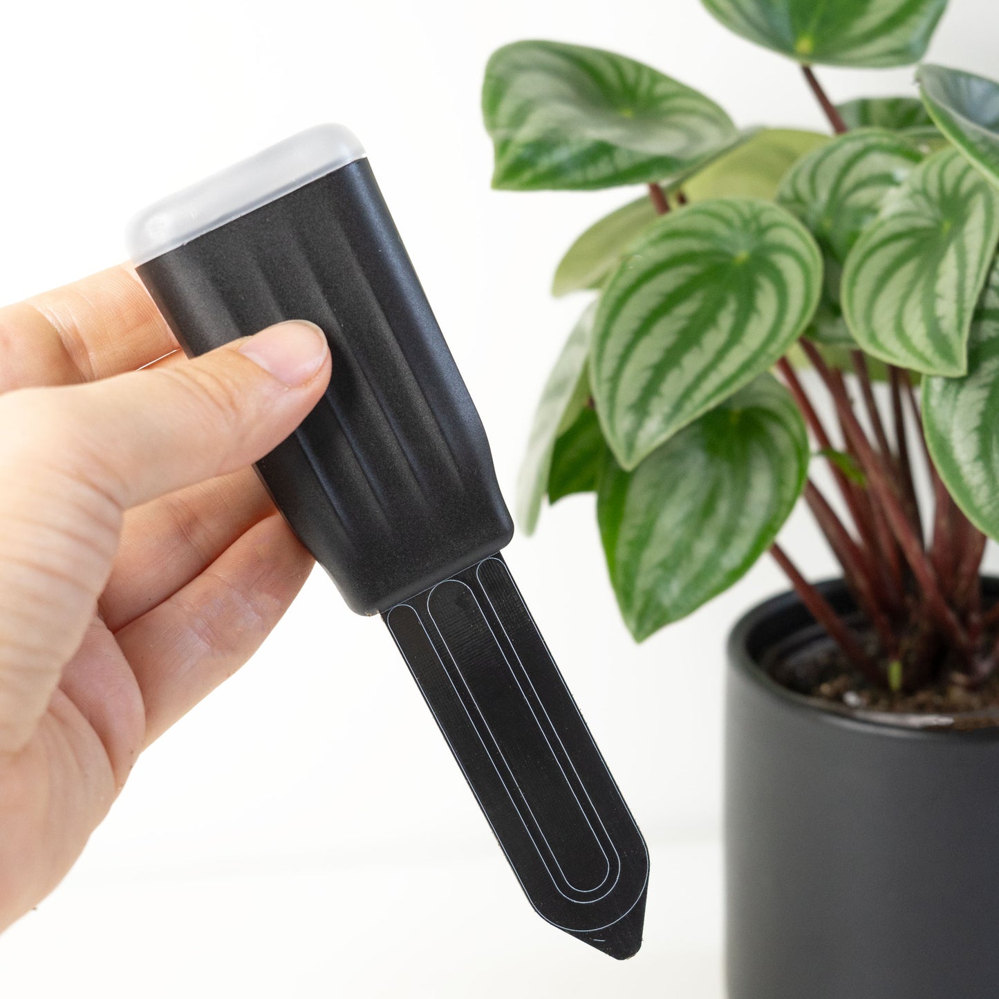 Gardy - Plant Care Monitor