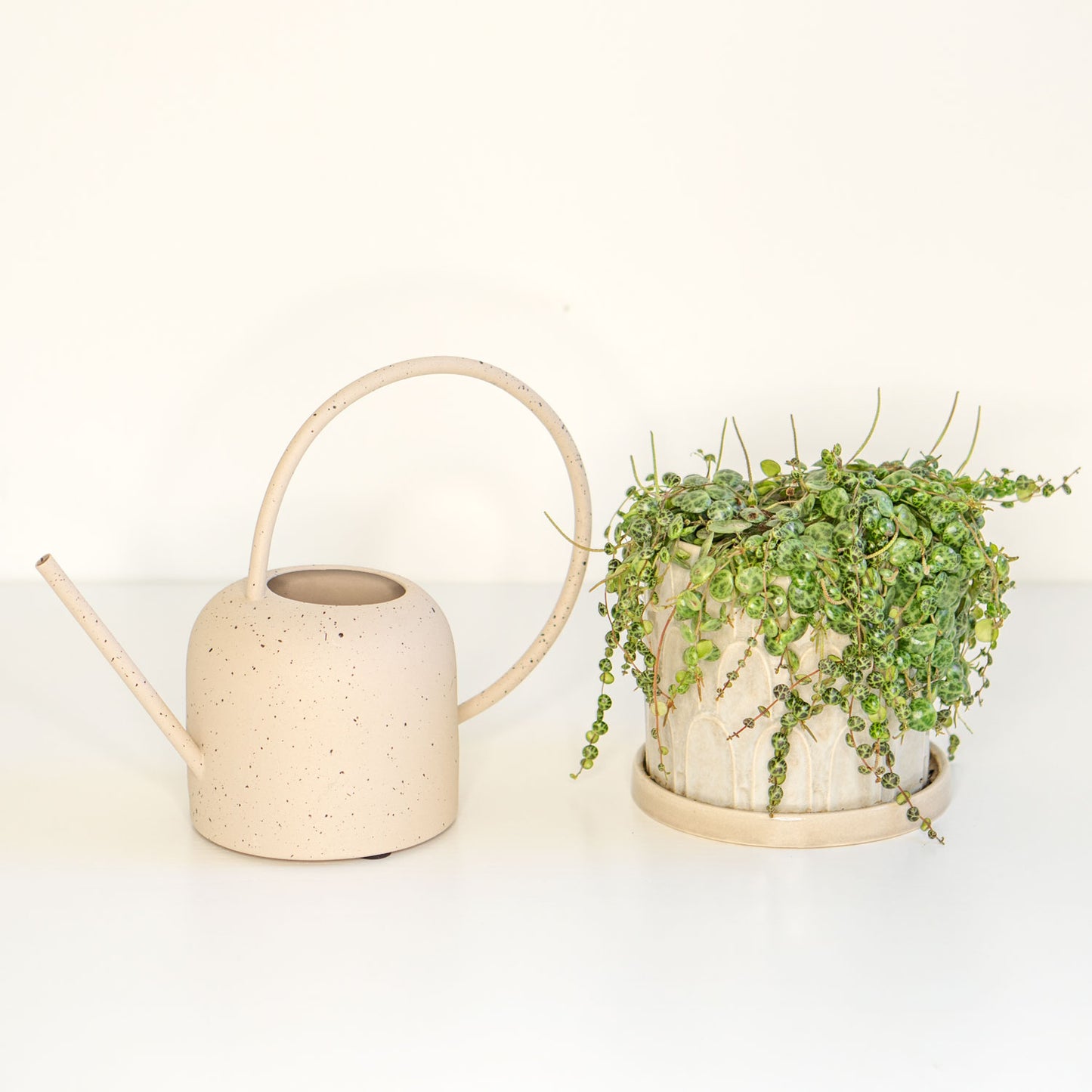 Metal Watering Can