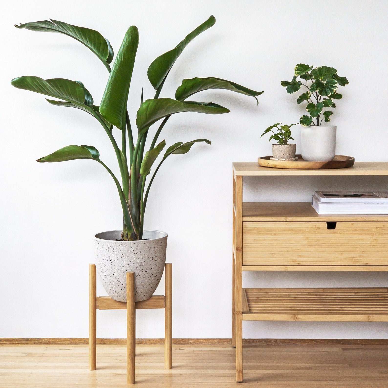 Adjustable Bamboo Plant Stand - Indoor Plant Stand for Delivery