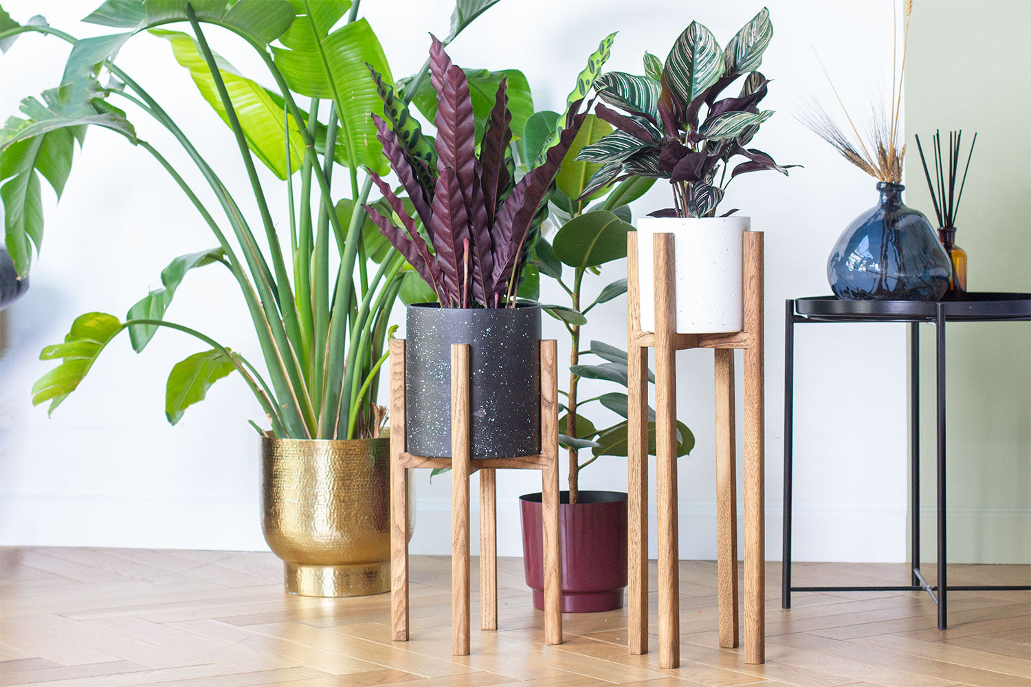 Pots & Care
