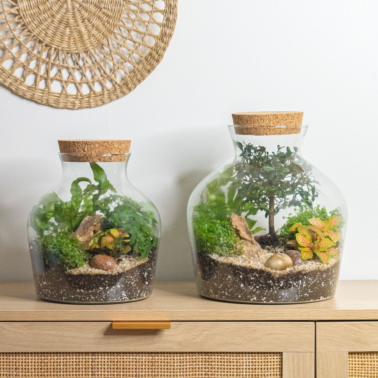 Terrariums