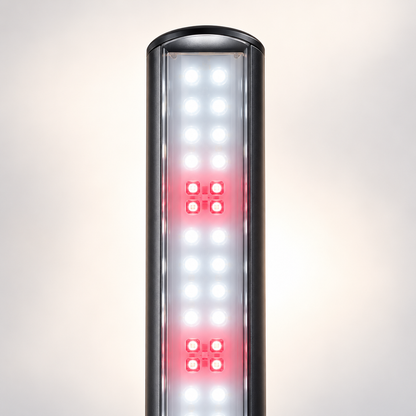 LEDs of FYTO Grow Lamp for houseplants