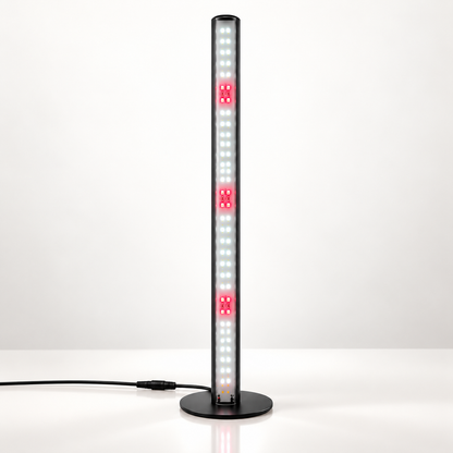 FYTO Grow Lamps for houseplants light on