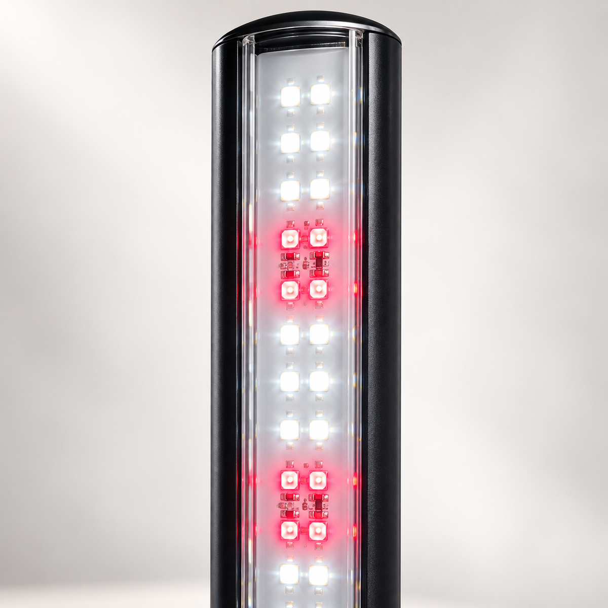 LEDs of FYTO Grow Lamp for houseplants